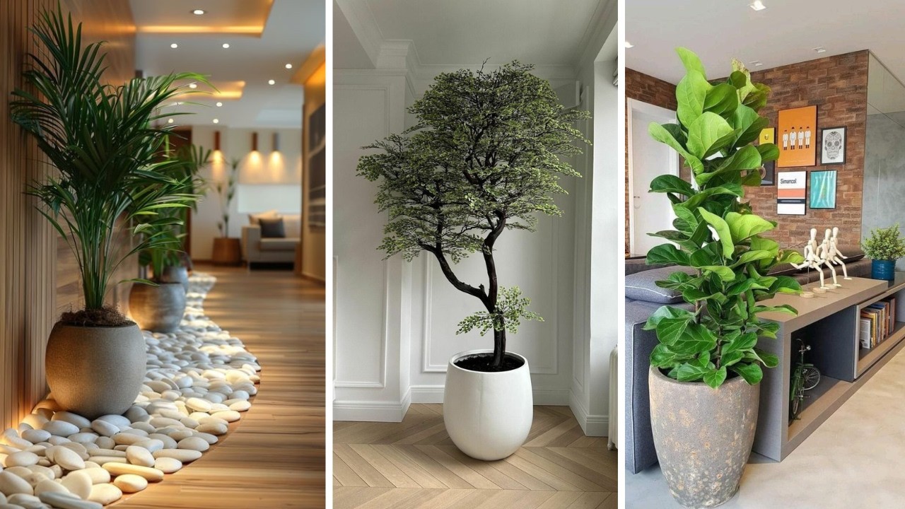 Decorar con plantas y macetas
